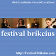 Festival brikcius